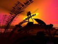 /album/wallpapers/paysages3d-08-jpg/