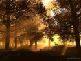 /album/wallpapers/paysages3d-19-jpg/